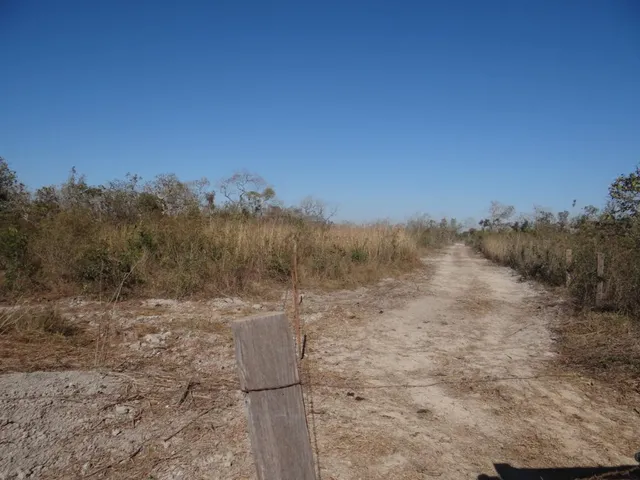 Imagem 8: Fazenda com 100 Hectares em Cuiabá/Mt