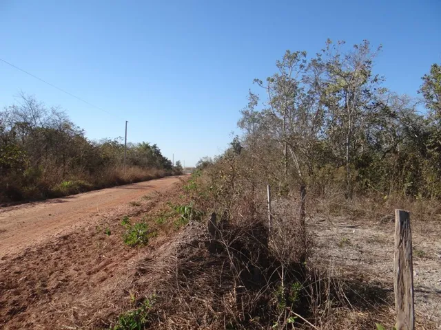Imagem 9: Fazenda com 100 Hectares em Cuiabá/Mt