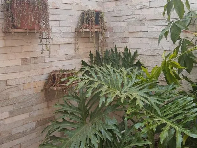 Imagem 7: Casa no Bairro Jardim Imperial II