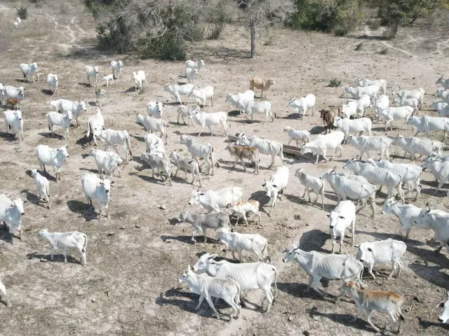 Imagem: A fazenda possui 1 Dormitório, 1 Banheiro, 319m² de Área