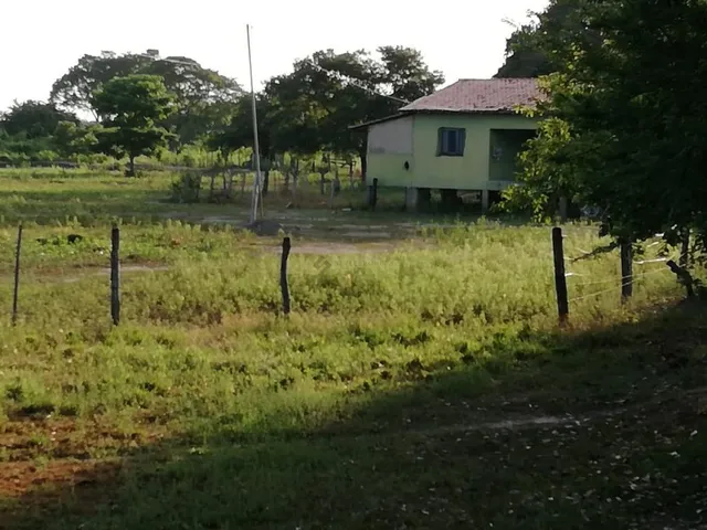 Imagem: Fazenda com 409 Hectares em Poconé/Mt