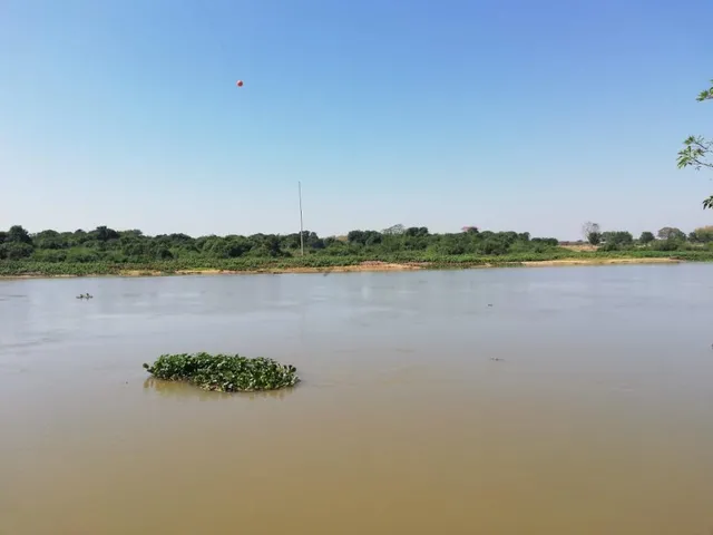 Imagem 2: Fazenda com 409 Hectares em Poconé/Mt