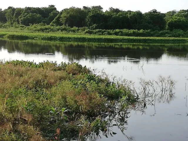 Imagem 5: Fazenda com 409 Hectares em Poconé/Mt