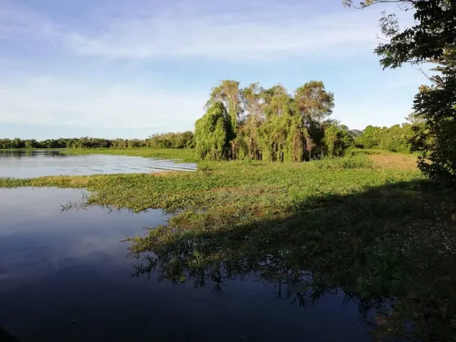 Imagem 6: Fazenda com 409 Hectares em Poconé/Mt