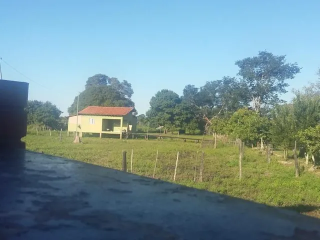 Imagem 8: Fazenda com 409 Hectares em Poconé/Mt