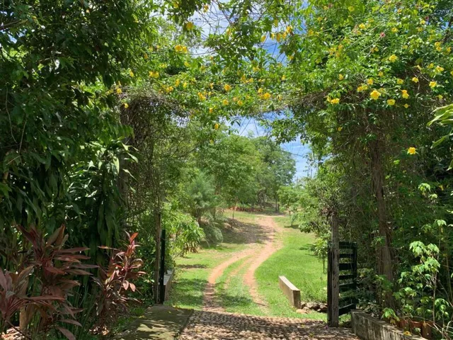 Imagem 1: Chácara na Rodovia Emanoel Pinheiro