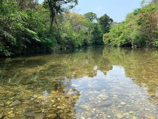 Imagem 12: Chácara na Rodovia Emanoel Pinheiro