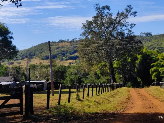 Imagem: Fazenda em Poxoréu Mt