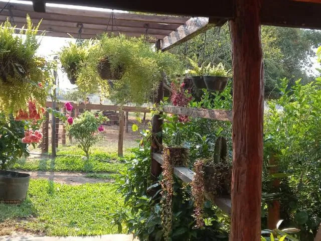 Imagem 5: Chácara em Varzea Grande - Mt