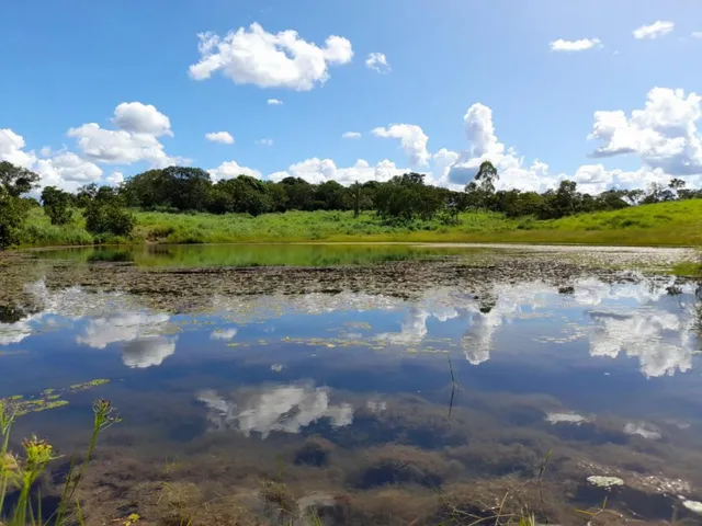 Imagem 3: Chacára em Várzea Grande
