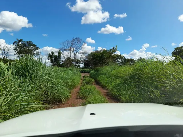 Imagem 6: Chacára em Várzea Grande