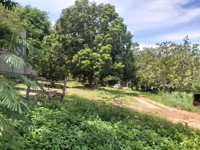 Imagem: Terreno na Região Central