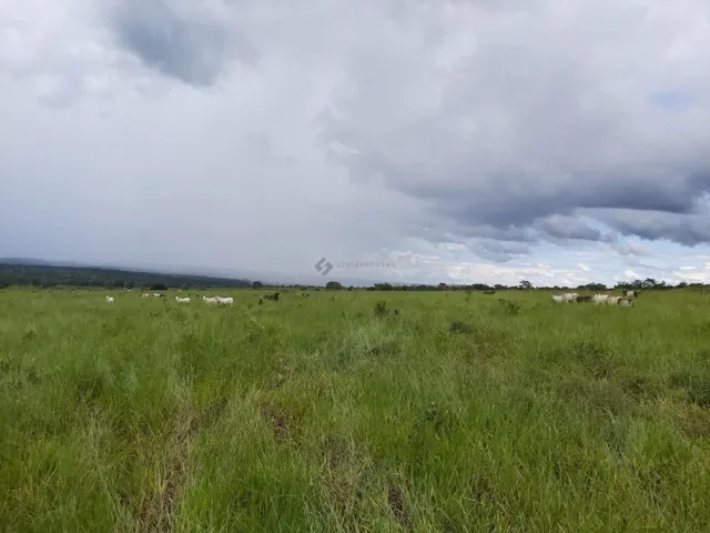 Imagem: Fazenda com 1610 Hectares em Poxoreú