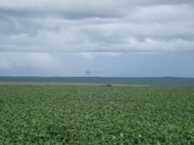 Imagem: A fazenda possui 3 Dormitórios, 1 Suíte, 2 Banheiros,