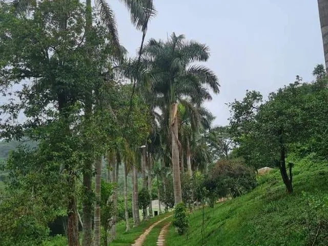 Imagem 3: Chácara com 05 Hectares em Chapada dos Guimarães