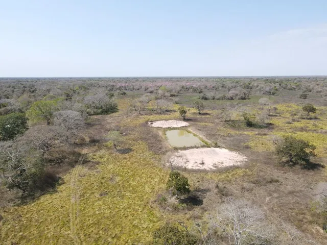 Imagem: A fazenda possui 1 Dormitório, 1 Banheiro, 2.529m² de