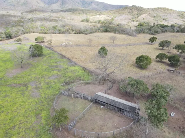 Imagem: Fazenda com 1500 Hectares em Acorizal