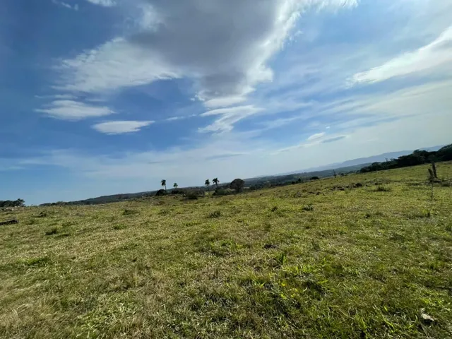 Imagem 8: 60 HECTARES EM TAQUARA/RS COM ÓTIMAS INSTALAÇÕES