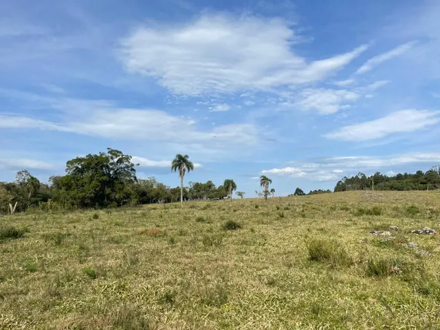 Imagem 4: 60 HECTARES EM TAQUARA/RS COM ÓTIMAS INSTALAÇÕES