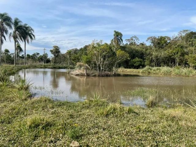 Imagem 5: 60 HECTARES EM TAQUARA/RS COM ÓTIMAS INSTALAÇÕES