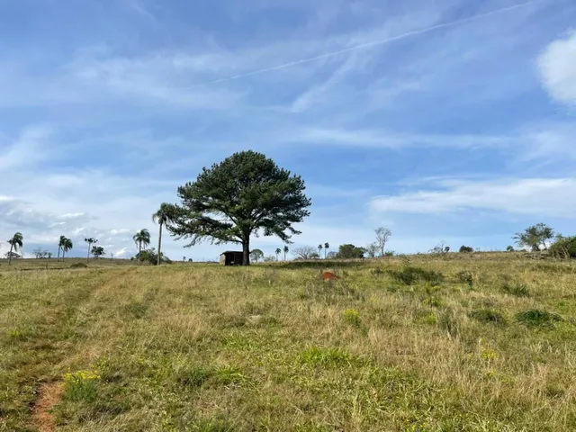 Imagem 6: 60 HECTARES EM TAQUARA/RS COM ÓTIMAS INSTALAÇÕES