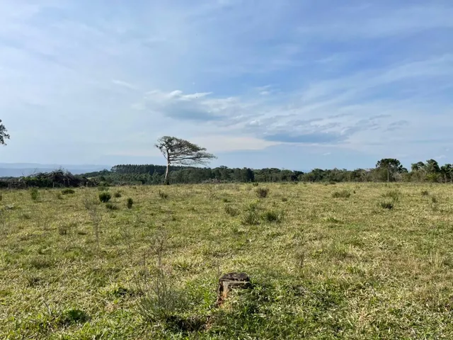 Imagem 13: 60 HECTARES EM TAQUARA/RS COM ÓTIMAS INSTALAÇÕES