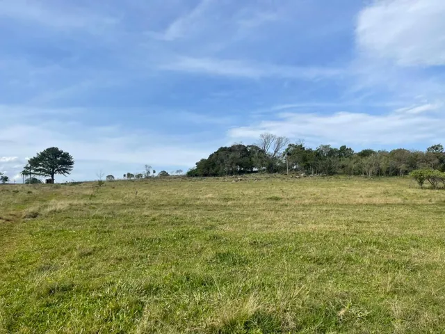 Imagem 16: 60 HECTARES EM TAQUARA/RS COM ÓTIMAS INSTALAÇÕES