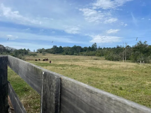 Imagem 3: 60 HECTARES EM TAQUARA/RS COM ÓTIMAS INSTALAÇÕES