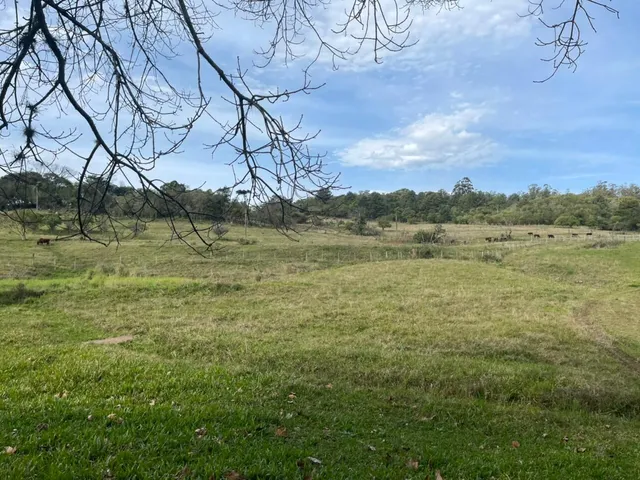 Imagem 11: 60 HECTARES EM TAQUARA/RS COM ÓTIMAS INSTALAÇÕES