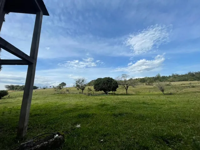 Imagem 2: 60 HECTARES EM TAQUARA/RS COM ÓTIMAS INSTALAÇÕES