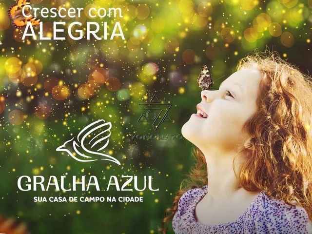 Imagem 14: Gralha Azul Terreno / lote com venda por R$909.634