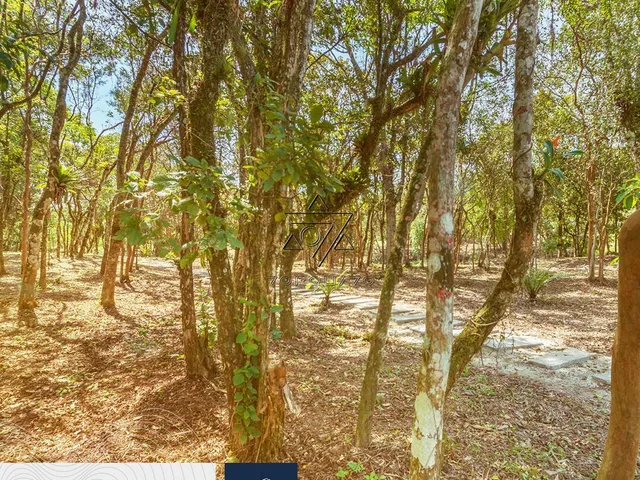 Imagem 9: Gralha Azul Terreno / lote com venda por R$909.634