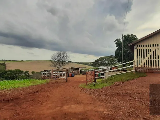 Imagem: Fazenda em Cambé, Excelente Localização
