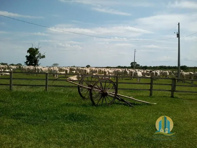 Imagem: Linda Fazenda/Ms