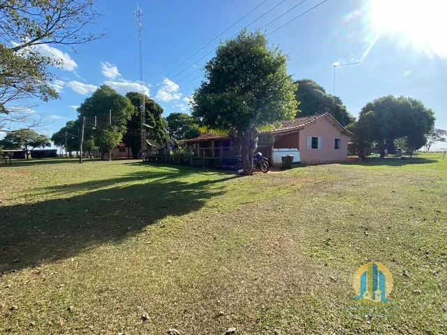 Imagem: Fazenda Maravilhosa/Ms