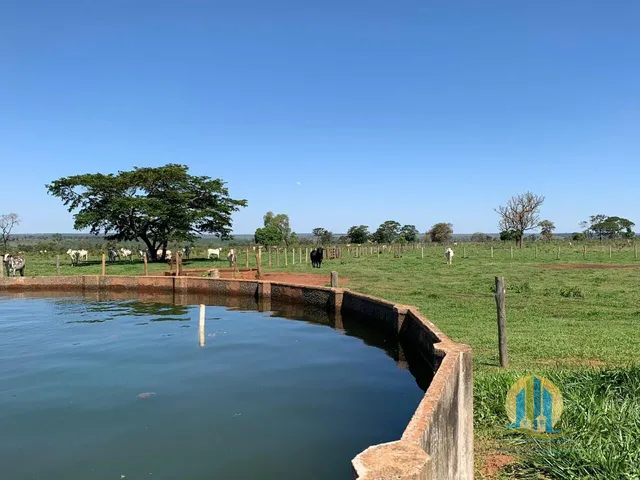 Imagem: Linda Fazenda/Ms