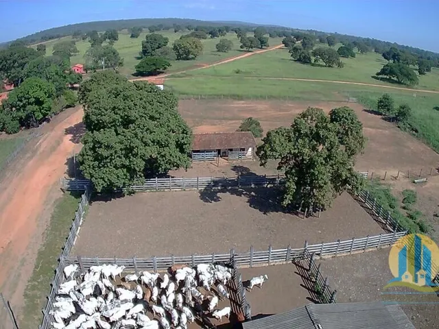 Imagem: Belíssima Fazenda/Mg