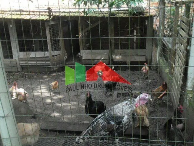 Imagem 6: REF.35 Sitio disponível para venda no bairro Ratones, Florianópolis/SC