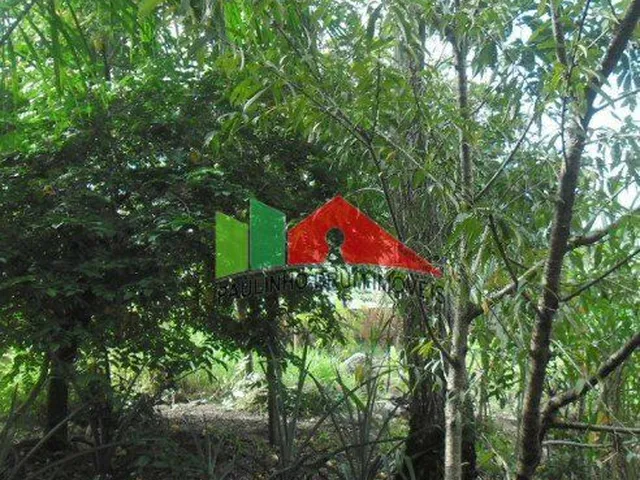 Imagem 5: REF.35 Sitio disponível para venda no bairro Ratones, Florianópolis/SC