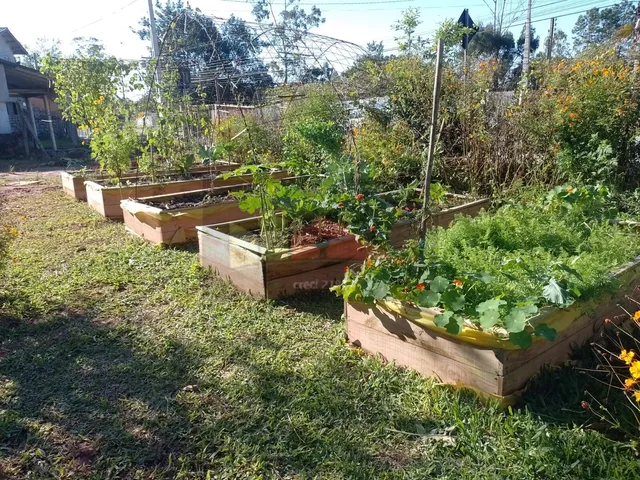Imagem 11: REF. 322 Terreno no Bairro Ratones, Florianópolis - SC