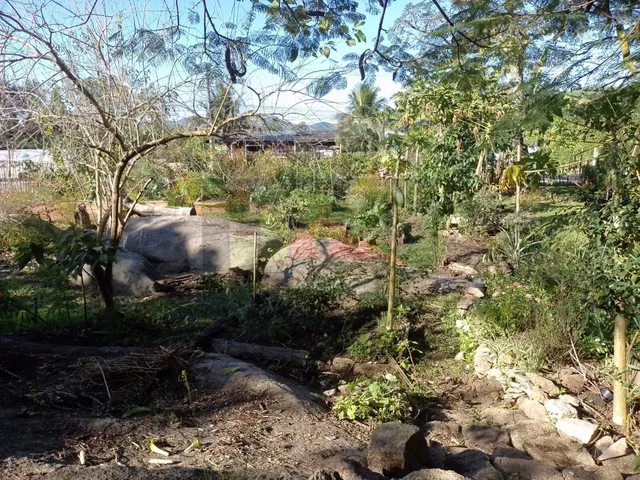 Imagem 4: REF. 322 Terreno no Bairro Ratones, Florianópolis - SC