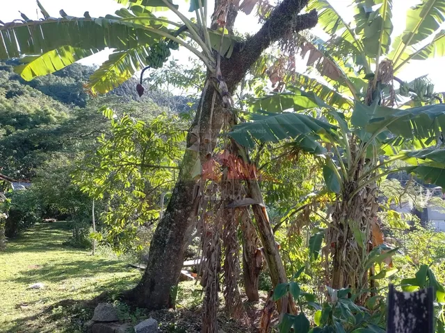 Imagem 9: REF. 322 Terreno no Bairro Ratones, Florianópolis - SC