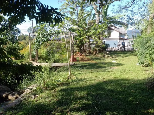 Imagem 5: REF. 322 Terreno no Bairro Ratones, Florianópolis - SC