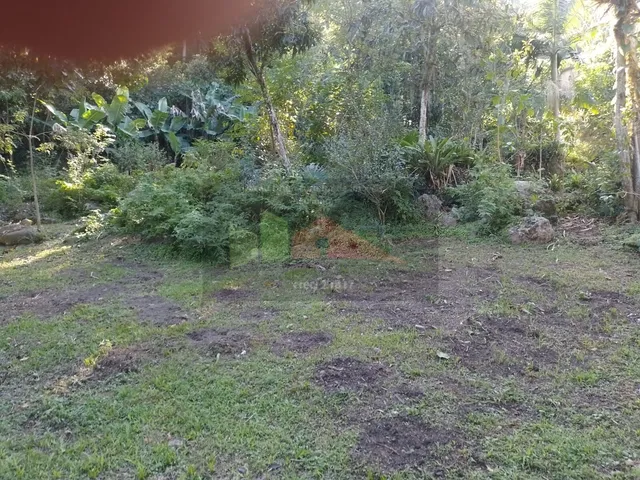 Imagem 6: REF. 322 Terreno no Bairro Ratones, Florianópolis - SC