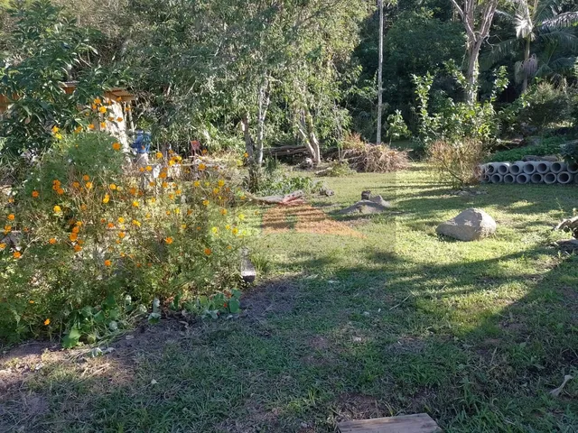 Imagem 10: REF. 322 Terreno no Bairro Ratones, Florianópolis - SC