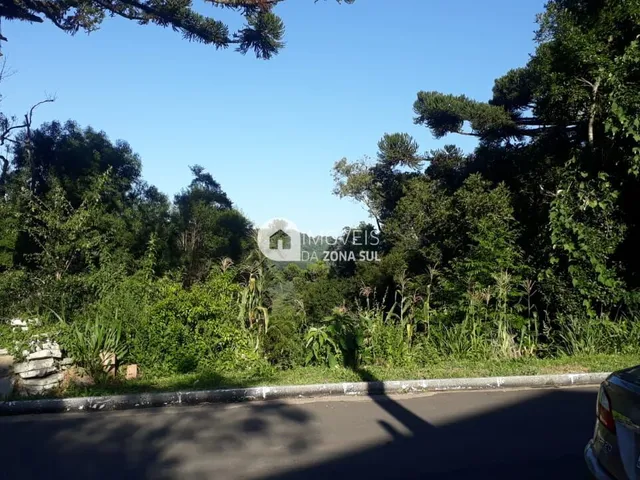 Imagem 1: Terreno Diferenciado em Gramado/RS