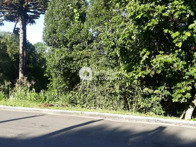 Imagem 2: Terreno Diferenciado em Gramado/RS