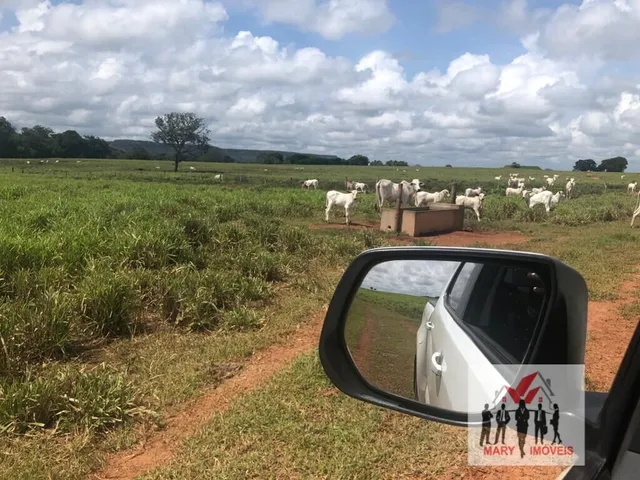Imagem: A fazenda está localizado em Setor Central, Araguaína à venda