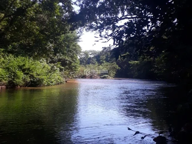 Imagem 2: Chácara no Coxipó do Ouro