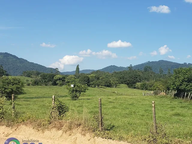 Imagem: Sítio à venda no bairro Cedro Margem Esquerda